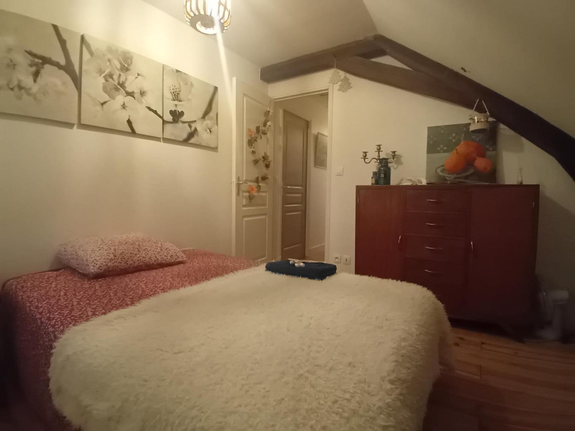 Chez Isa Chambre Chez L'Habitant Emma Montlouis-sur-Loire Εξωτερικό φωτογραφία